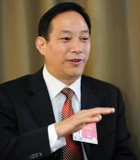 邹先荣委员：建议新能源汽车采用换充电方式