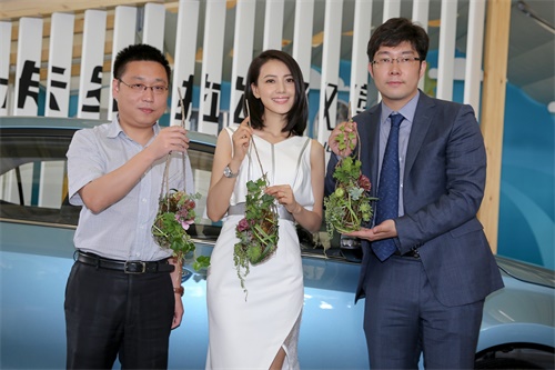 卡罗拉双擎：和女神共同相约“乐活”市集