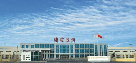 骆驼集团进军新能源汽车动力电池领域