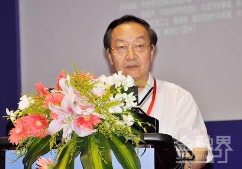 李毅中：汽车工业应对国际金融危机功不可没